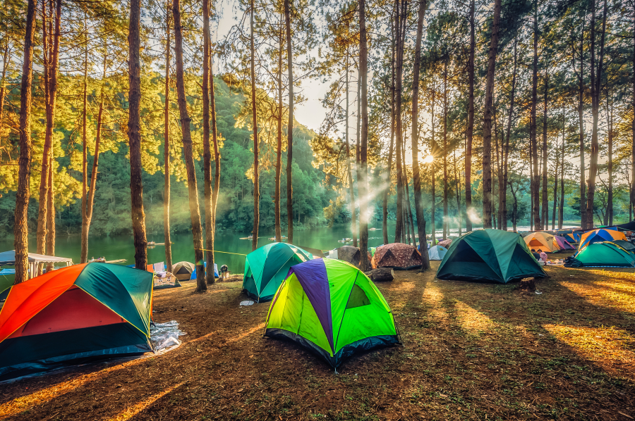 camping 3 étoiles Hourtin